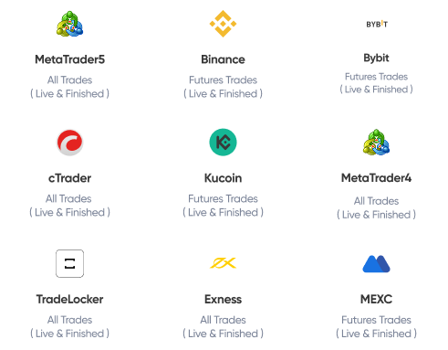 broker connections screenshot light